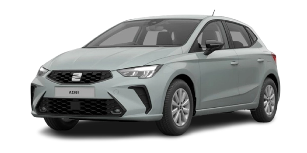 Ibiza 1.0 L MPI Reference